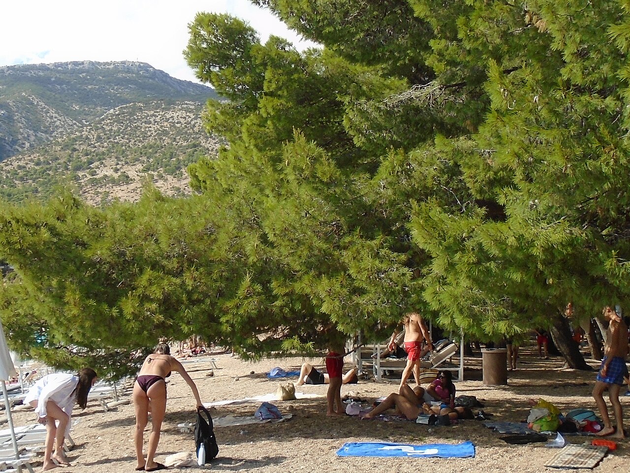 Swimmers and sunbathers on the long pebble beach of Zlatni rat in Bol on the island of Brač, with clear turquoise sea